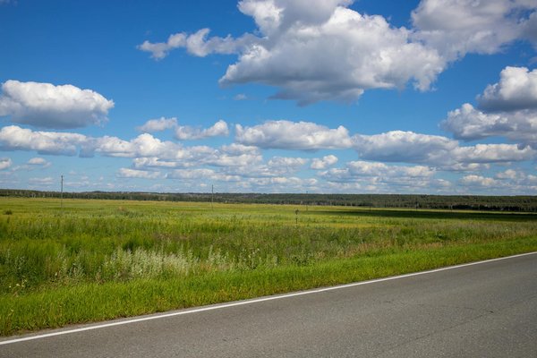 Guide Ultime pour Détecter une Véritable Moto de Collection